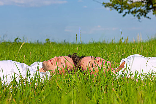 幸福伴侣,躺着,草地,夏天