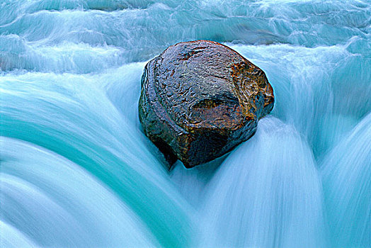 特写,石头,碧玉国家公园,艾伯塔省,加拿大