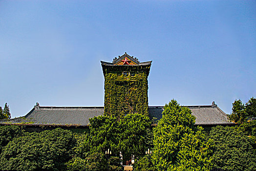 南京大学,北大楼