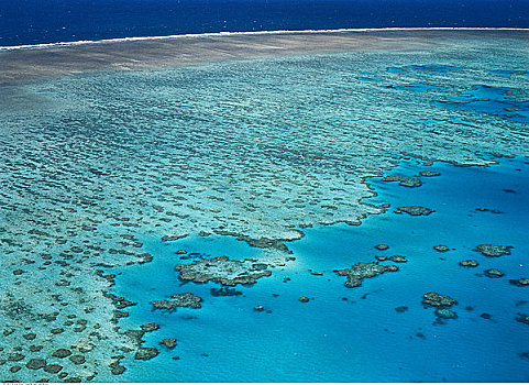 大堡礁,珊瑚海,岛屿,昆士兰,澳大利亚