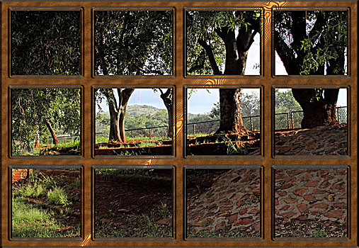 木质,窗框,自然,户外