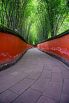 武侯祠,园林,红墙,绿竹,长廊