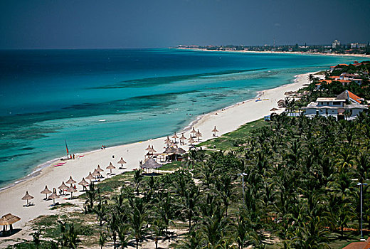 俯拍,棕榈树,海滩,瓦拉德罗,古巴
