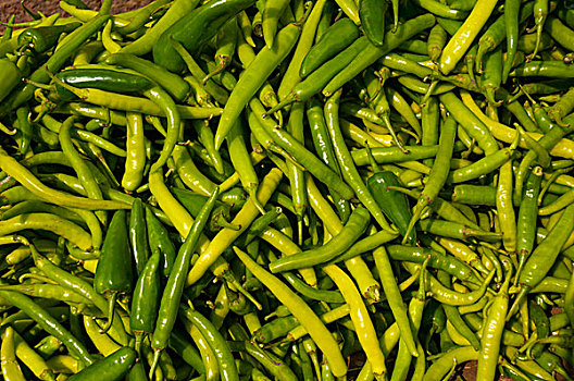 绿色,辣椒,出售,胜利宫,北方邦,印度