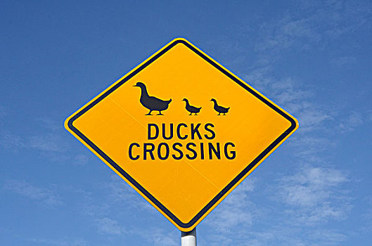 交通标志,新西兰