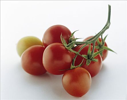 葡萄番茄,茎