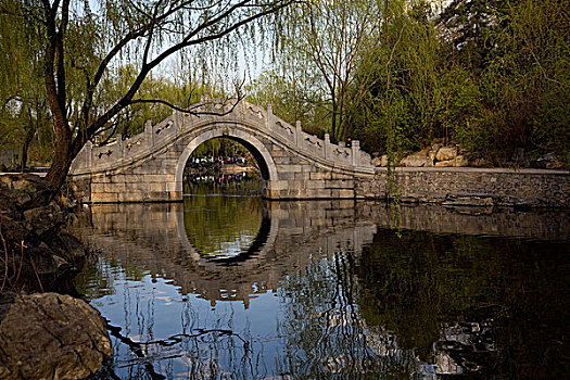 清华大学,高校