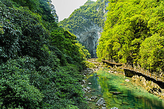 自燃山水