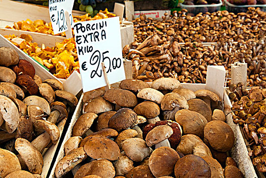 蘑菇,市场,威尼斯,威尼托,意大利