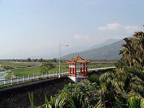 花莲,溪流,河边,公园