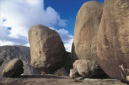 石头,国家公园,昆士兰,澳大利亚,世界遗产