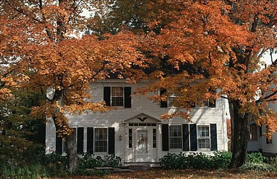 房子,秋天,树,佛蒙特州,美国