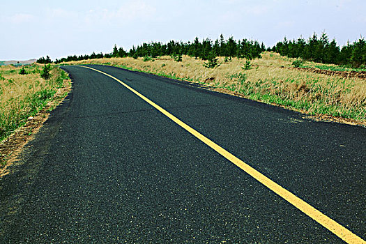 草原柏油路