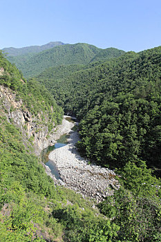 陕西秦岭太白黄柏源