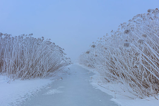 湖,冬天