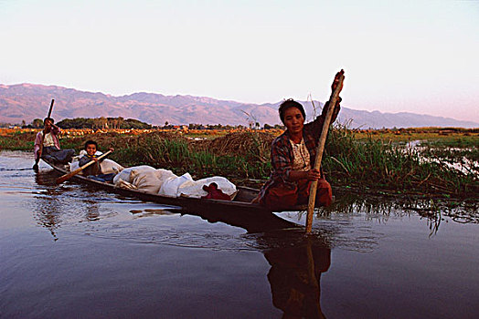 缅甸,茵莱湖,女人,操纵,满载,独木舟