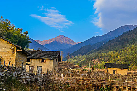 村庄,农村,房子,老屋,土墙,树,黄色,篱笆,小路,道路,稻草,山,蓝天,白云,石墙,鱼鳞云,牛,草,田地,农舍