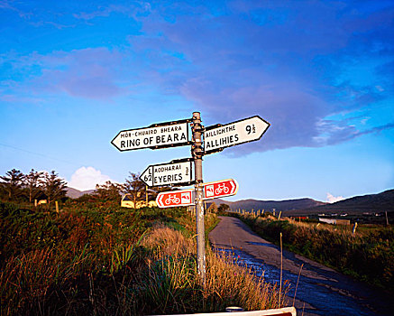 交通标志,半岛,凯瑞郡,爱尔兰