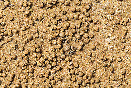 沙滩砂质纹理素材