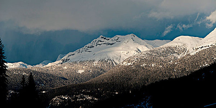 仰视,积雪,山,冬天,惠斯勒,不列颠哥伦比亚省,加拿大