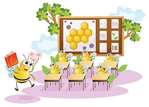 蜜蜂,教室