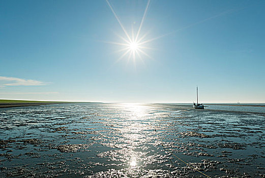 瓦登海,夏天