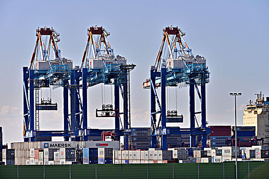 集装箱码头,不来梅港,不莱梅,德国,欧洲