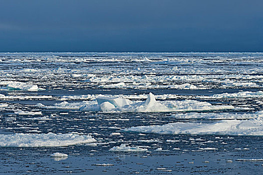 浮冰,边缘,北冰洋,斯匹次卑尔根岛,岛屿,斯瓦尔巴群岛,斯瓦尔巴特群岛,挪威,欧洲