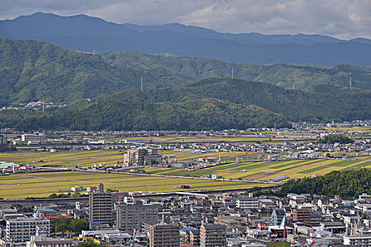 斑点,五台山,日本