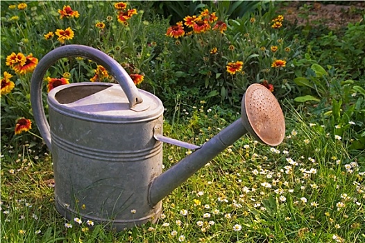 水,罐,花园