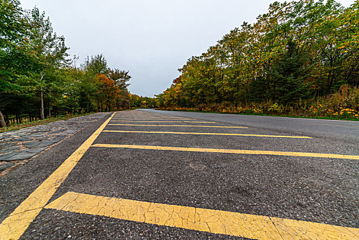 道路