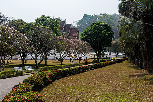 琅勃拉邦古城老挝皇宫内花园