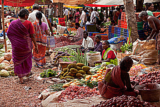 印度,淡色,农产品,纱丽服,市场