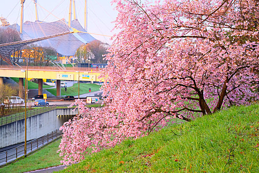 munich慕尼黑olympia,park