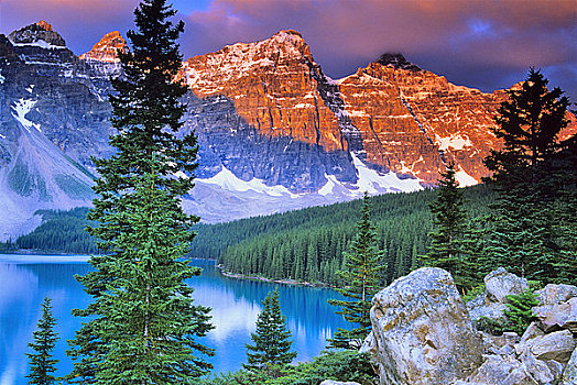 树,湖岸,十峰谷,冰碛湖,班芙国家公园,艾伯塔省,加拿大