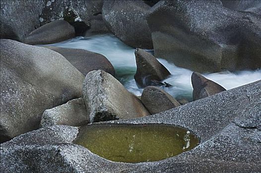 漂石,溪流,昆士兰,澳大利亚