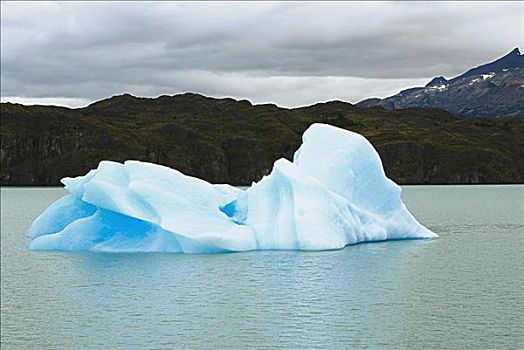 冰山,湖,阿根廷湖,巴塔哥尼亚,阿根廷