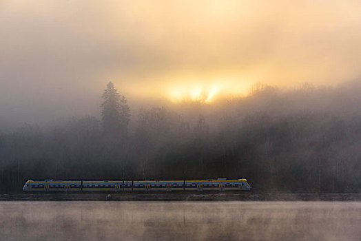 列车,移动,雾状,风景