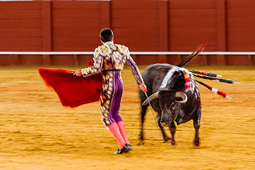比赛,公牛,斗牛士,传统服饰,局部,斗牛,斗牛场,广场,塞维利亚,安达卢西亚,西班牙,欧洲