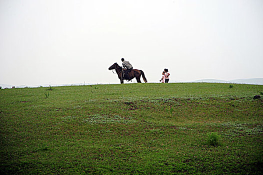 承德,坝上,草原,花海,原野,开阔,河流,植被,牧场