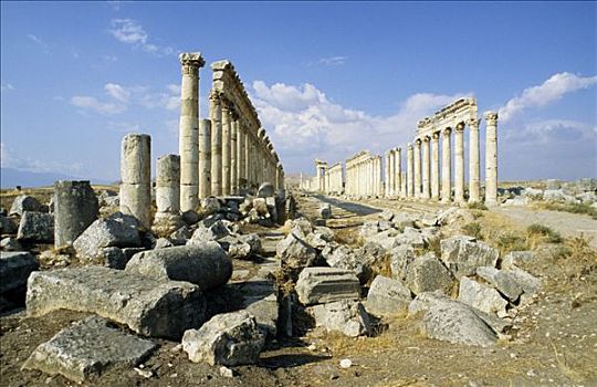 罗马,排,柱子,柱廊,阿帕米亚,叙利亚,中东,东方