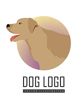 金毛猎犬,狗,标识,白色背景,背景,圆,象征,矢量,插画,风格,拉布拉多犬,设计,卡通,宠物