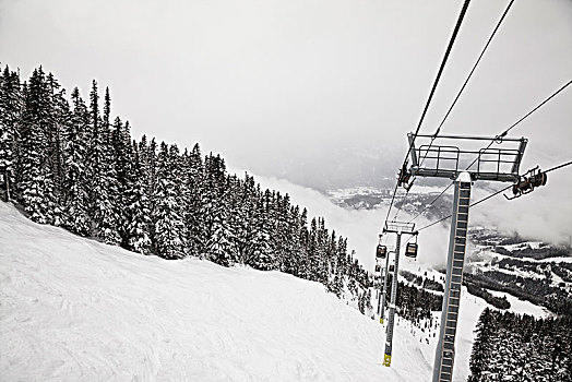 积雪,山,树,吊舱,滑雪,冬天,雪