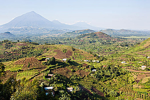 风景,区域,人口稠密,灭绝,火山,梯田,农事,背景,大猩猩,国家公园,上升,天空,非洲