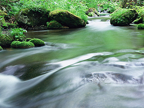 千岁,河