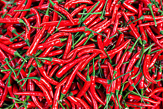 红椒,出售,市场,缅甸
