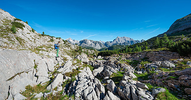 远足,站立,石头,徒步旅行,后面,瓦茨曼山,国家公园,巴伐利亚,德国,欧洲