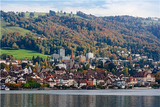 城市,瑞士,秋天