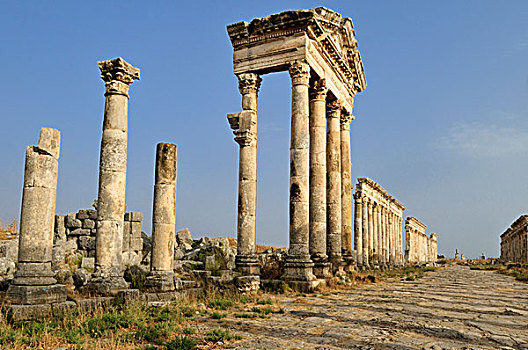 遗址,罗马,考古,场所,阿帕米亚,叙利亚,中东,西亚