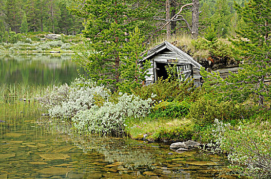 老,小屋,湖,洛姆,挪威,斯堪的纳维亚,欧洲